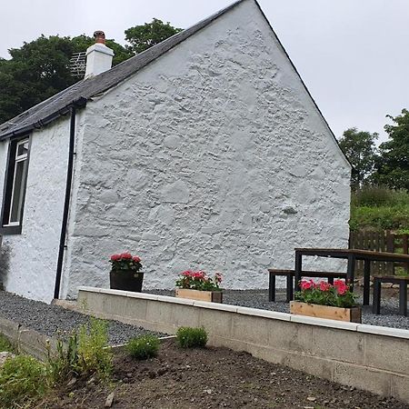 Dairy Cottage With Sea Views Girvan Exterior photo