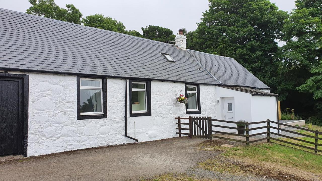 Dairy Cottage With Sea Views Girvan Exterior photo