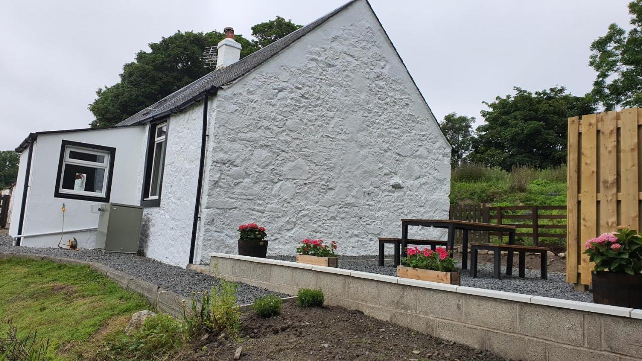 Dairy Cottage With Sea Views Girvan Exterior photo
